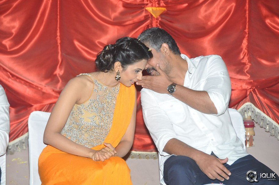 Loukyam-Movie-50-Days-Celebrations